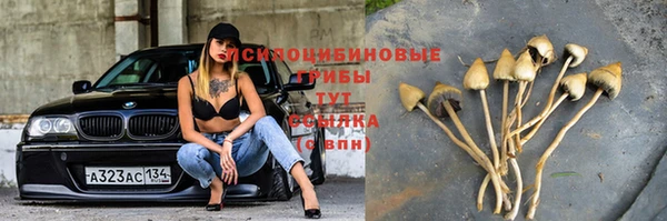 марихуана Арсеньев